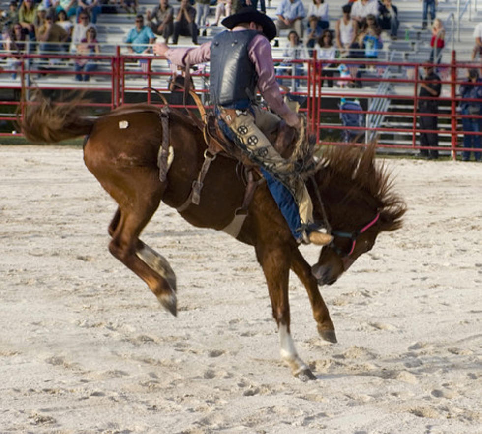 Rock Valley Saddle Club’s 5th Annual Ranch Rodeo
