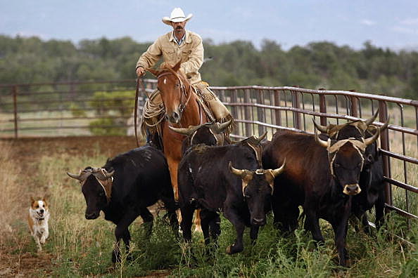 Ranch Rodeo
