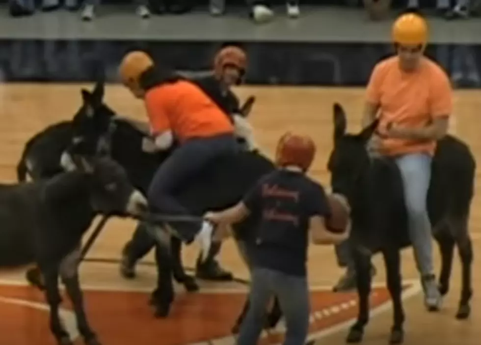 HHHS After Prom Presents: Donkey Basketball!