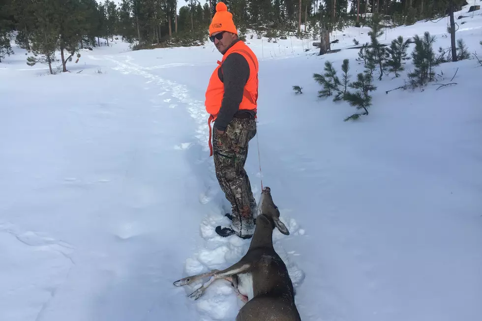 East River Deer Season Opens Saturday November 20, Be Safe!