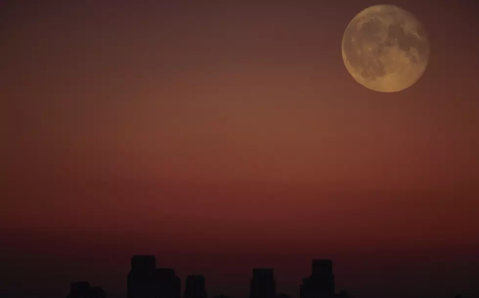 Look Kids, the Beaver Moon is Here
