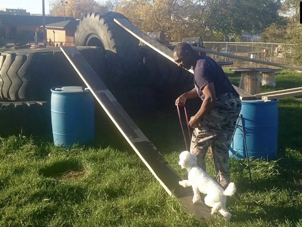 Sioux Falls Mans Amazing Ability to Train Dogs Started as A Kid