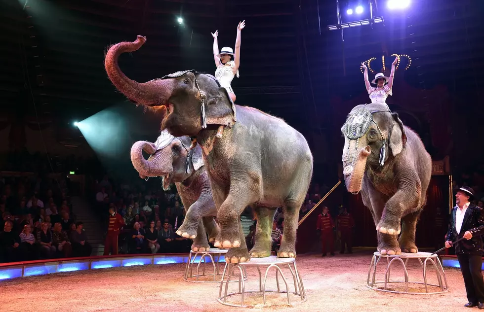 El Riad Shrine Postpones South Dakota Circuses